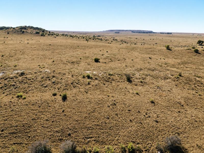 0 Bedroom Property for Sale in Lindley Free State